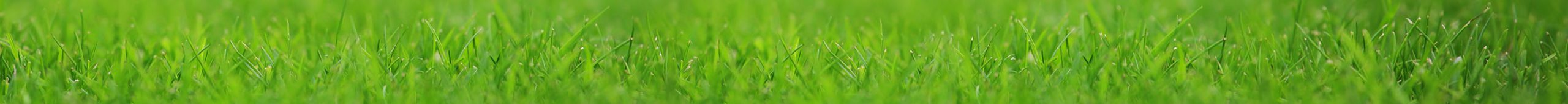 grass stripe2