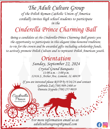 Adult Culture Group Cinderella Prince Charming Ball