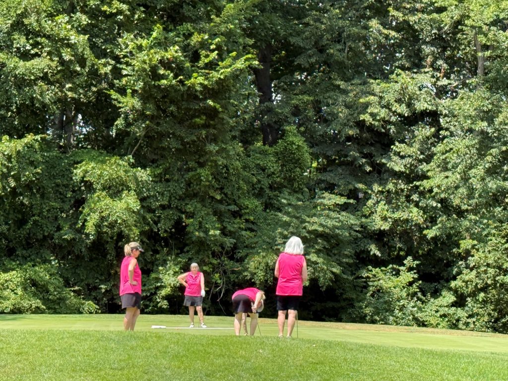 On the course 12